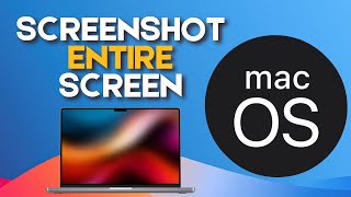 How to Screenshot Entire Screen on Mac [upl. by Einomrah]