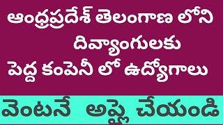 దివ్యాంగులు పెద్ద కంపెనీ లో ఉద్యోగం కావాలంటే వెంటనే resume పంపండి pw [upl. by Adnilev]