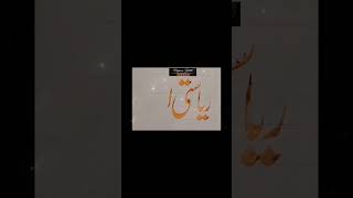 Urdu English Calligraphy course ✍️✍️✍️ qalbcalligraphy urdu live english arabic naskh callig [upl. by Sivaj]