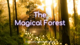 The Magical Forest  Guided Meditation Visualization For Deep Relaxation amp DeStressing [upl. by Eneli]