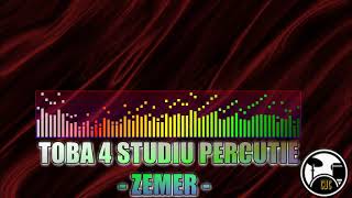 Toba 4 Studiu Percutie  Zemer [upl. by Falzetta330]