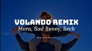 Volando remix  Mora Bad Bunny Sech  LETRA  Disfruto el poder verte aunque no sea conmigo🥀 [upl. by Dniren]