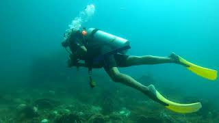 Martin Open Water Diving Pulau Perhentian 2024 Sep [upl. by Yekram]