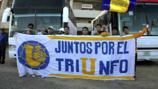 TIGRES CAMPEON 2011 [upl. by Alyworth]