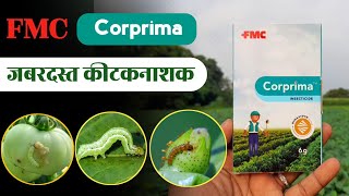 Corprima Insecticide  FMC  कॉर्प्रीमा कीटकनाशक  Chlorantraniliprole 35 WG  Coragen  Dose [upl. by Sheffy921]