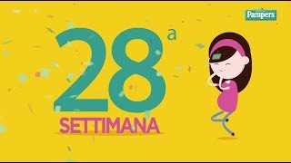 28° settimana di gravidanza [upl. by Eneiluj]