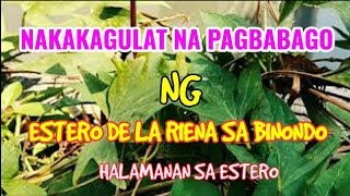 Nakakagulat Na Pagbabago Ng Estero De La Riena Sa Binondo  Manila Update [upl. by Zaragoza210]