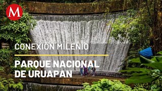 Conoce el bosque del Parque Nacional de Uruapan  Conexión Milenio [upl. by Loftus]