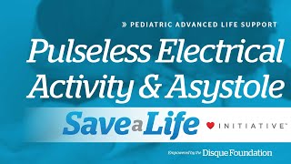 10b Pulseless Electrical Activity and Asystole 2024 [upl. by Iderf634]