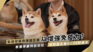 PURINA® PRO PLAN® 毛孩研究所  貓犬健康成長飲食錦囊 成年貓犬篇 [upl. by Sirdna144]