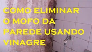 Como Eliminar o Mofo da Parede Usando Vinagre testamos e funciona [upl. by Inavoig723]