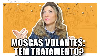 Moscas Volantes  Tratamento Para Moscas Volantes [upl. by Kcirdde]