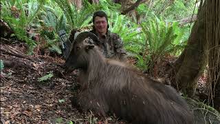 State Highway 6 to the Tussock Bow hunting bull tahr [upl. by Ailehc]