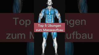 Top 5 Übungen für Masseaufbau 💪💪 motivation workout workoutmotivation [upl. by Alol]