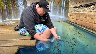 Catching Wild Aquarium Fish at a German Hot Spring [upl. by Ardrey]