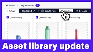 Asset library update  Feature overview [upl. by Elocaj88]