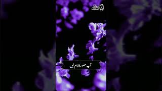 DAR E NABI PAR LOVE FOR HOLY PROPHET PBUH [upl. by Dunston826]