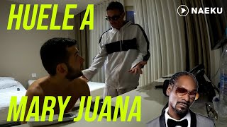 HUELE A MARY JUANA Broma en hotel a Cachetes [upl. by Holli563]