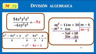 División algebraica [upl. by Nedyrb591]