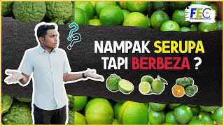 Nampak Serupa Tapi Berbeza [upl. by Brezin]