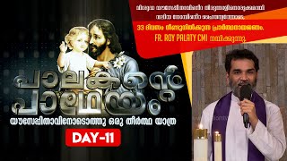 Palakante PadheyamDAY11  പാലകൻറെ പാഥേയം  Fr Roy Palatty CMI  ShalomTV [upl. by Busiek]