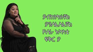 Meselu Fantahun መሰሉ ፋንታሁን Beaynu lyrics music [upl. by Cynthea295]