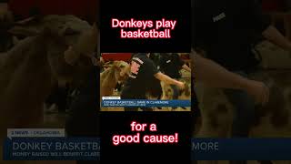 Donkey Basketball [upl. by Beekman]