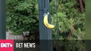 Outrage After Bananas Marked with AKA and Harambe Bait Found Hanging From Nooses on Campus [upl. by Esadnac]