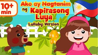 Ako ay Nagtanim ng Kapirasong Luya LullabyAwit Pampatulog Compilation [upl. by Florio]