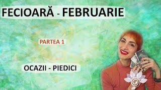 FECIOARĂ FEBRUARIE  Ocazii ProvocăriP1 Zodii de PĂMÂNT Tarot [upl. by Meek]