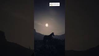 RDR2 • Brindle Missouri Fox Trotter Horse • Red Dead Redemption 2 [upl. by Gisela]