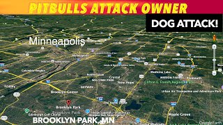 Pitbulls Attack Owner [upl. by Ahsienaj]