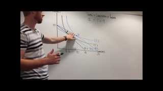 Explanation of Income and Substitution Effects [upl. by Tripp]