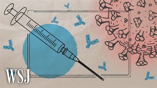 Vaccine Efficacy Numbers Explained  WSJ [upl. by Naujek]