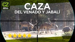 La caza del Venado y el Jabali  Cuidando la Caza [upl. by Orsay]