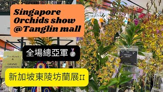 新加坡東陵坊的蘭展 Singapore Orchids show at Tanglin mall Part 2 orchid 蘭花 anggrek orchids orchidshow [upl. by Noeht229]