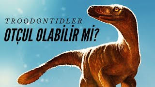 Troodon Gerçeği Etobur olmayabilirler mi [upl. by Leonerd]