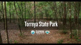 Firsthand Florida Fun Torreya State Park [upl. by Issy]