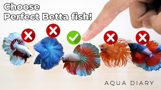 How To Choose A Best Betta Fish [upl. by Assiluj]