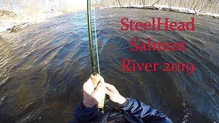 Steelhead on the Fly Salmon River NY [upl. by Dnalyr]