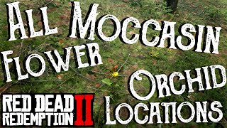 Red Dead Redemption 2  All 19 Moccasin Flower Orchid Locations Duchesses and Other Animals  RDR2 [upl. by Lapotin]