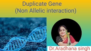 Duplicate Gene Non Allelic interaction [upl. by Ash]