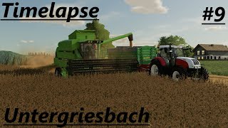 LS22 Timelapse Untergriesbach 9 Soja dreschen im Lohn [upl. by Blancha242]