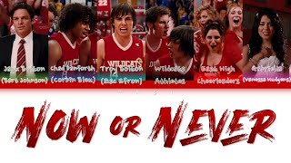 Remake High School Musical 3  Now or Never Colorcoded lyrics [upl. by Ashton]