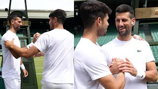 Djokovics Reaction When Alcaraz Came to His Training to Surprise Him  Wimbledon 2024 [upl. by Mavis]