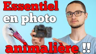 Regardez Ceci Avant de Débuter la Photographie Animalière [upl. by Reddin301]