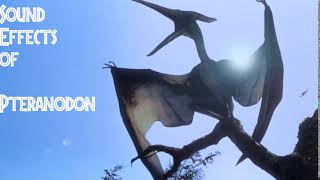 The Lost World Jurassic Park  Pteranodon Sound Effects [upl. by Nrublim177]