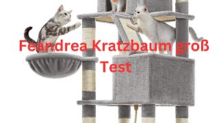 Feandrea Kratzbaum groß im Test KURZ amp KOMPAKT Zusammengefasst [upl. by Dlorah]