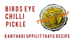 Kerala Style Birds Eye Chilli Pickle  Recipe 158  Kanthari Uppilittathu  Travel Chef [upl. by Hartmunn]