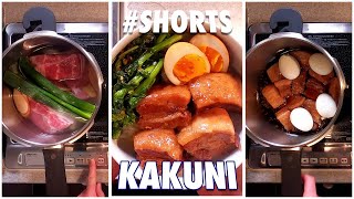 Twice Braised Pork Belly Kakuni Shorts [upl. by Neeleuqcaj]